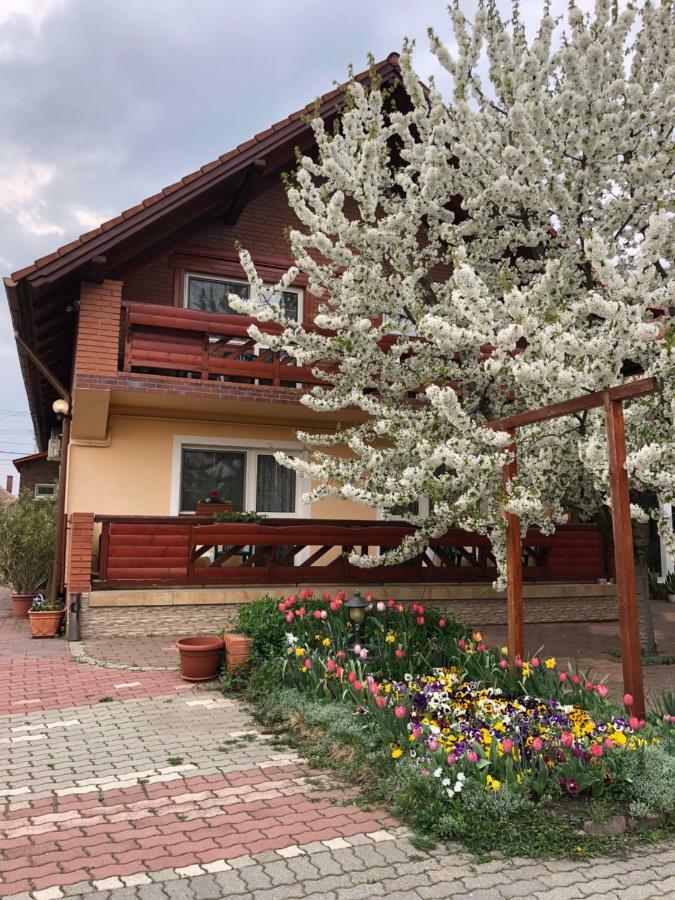 Bed and Breakfast Angela Panzio Беретьйоуйфалу Екстер'єр фото